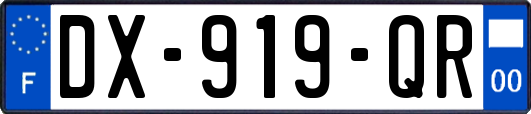 DX-919-QR