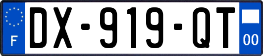 DX-919-QT