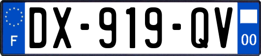 DX-919-QV