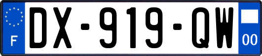 DX-919-QW