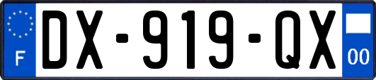 DX-919-QX