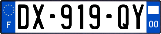 DX-919-QY