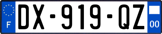 DX-919-QZ