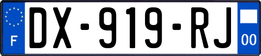 DX-919-RJ