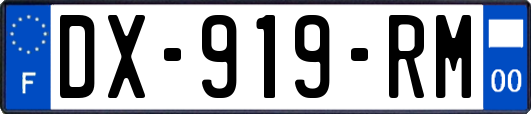 DX-919-RM