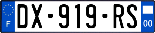 DX-919-RS