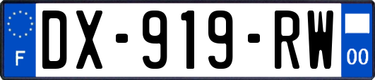DX-919-RW