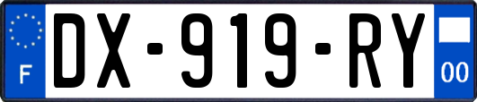 DX-919-RY