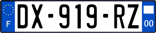 DX-919-RZ