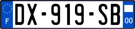 DX-919-SB