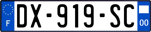 DX-919-SC