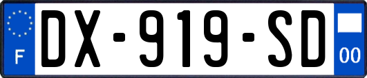 DX-919-SD