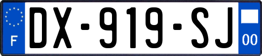 DX-919-SJ