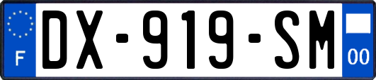 DX-919-SM