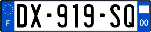 DX-919-SQ