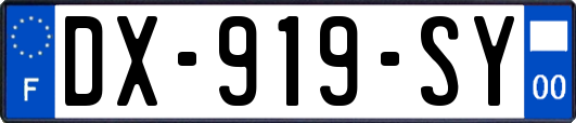 DX-919-SY