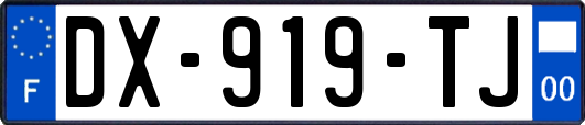 DX-919-TJ