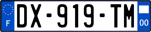 DX-919-TM