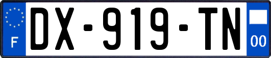 DX-919-TN
