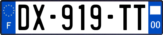 DX-919-TT
