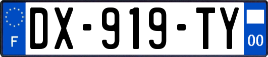 DX-919-TY