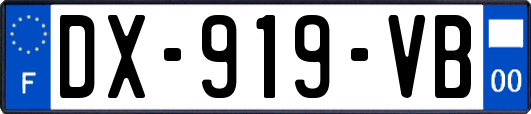 DX-919-VB