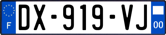 DX-919-VJ