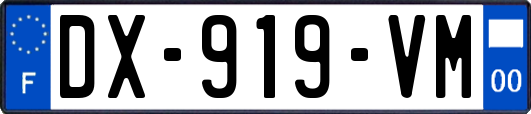 DX-919-VM
