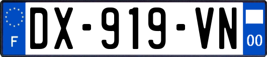 DX-919-VN