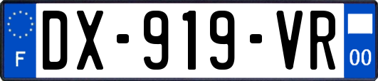 DX-919-VR