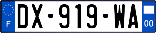 DX-919-WA