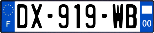 DX-919-WB