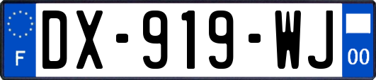 DX-919-WJ