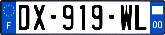 DX-919-WL