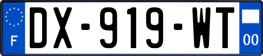 DX-919-WT
