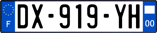 DX-919-YH