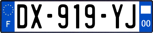 DX-919-YJ