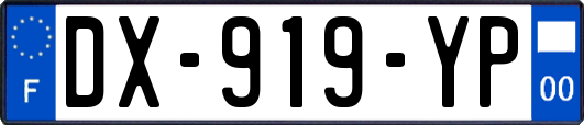 DX-919-YP