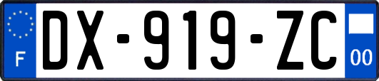 DX-919-ZC