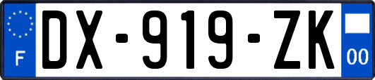 DX-919-ZK