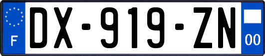 DX-919-ZN