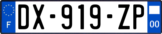 DX-919-ZP