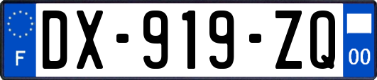 DX-919-ZQ