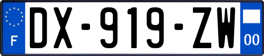 DX-919-ZW