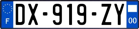 DX-919-ZY