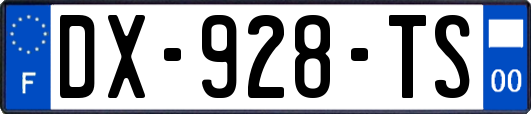 DX-928-TS