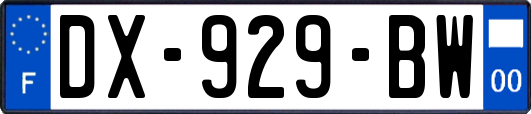 DX-929-BW