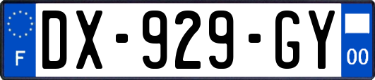 DX-929-GY