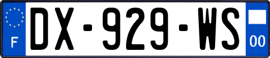 DX-929-WS