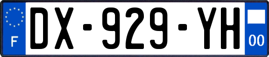 DX-929-YH